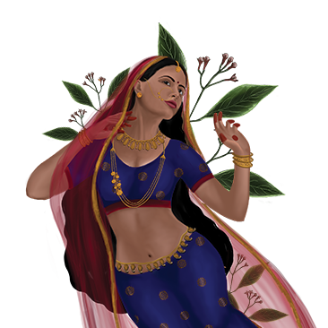 Story of Arrack of Indian Spices Cleansing Nectar