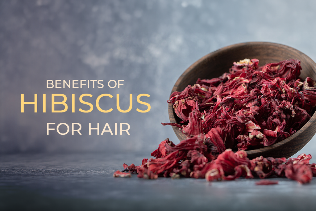 Benefits of Hibiscus for Hair: How the Flower and Leaf Are Used