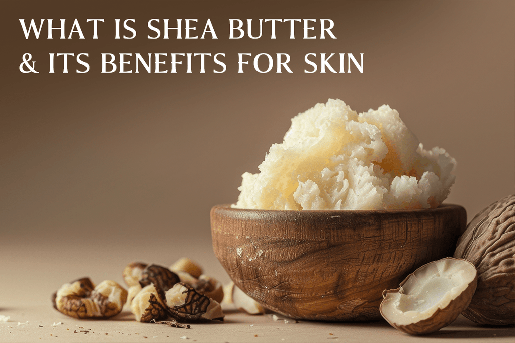 What Is Shea Butter & Its Benefits for Skin