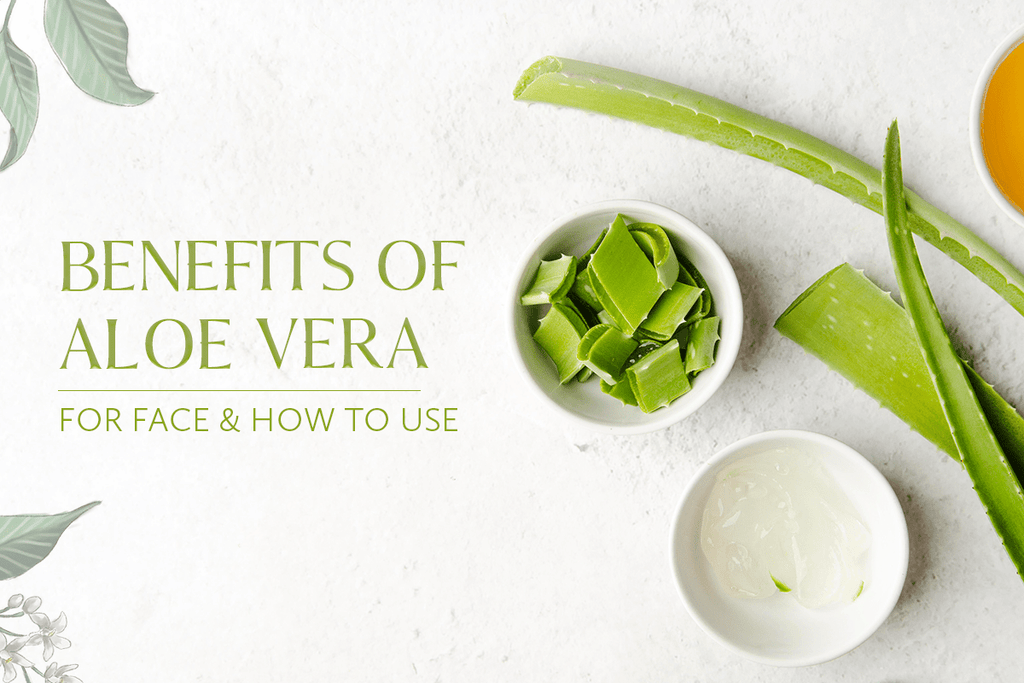 Benefits of Aloe Vera for Face & How to Use