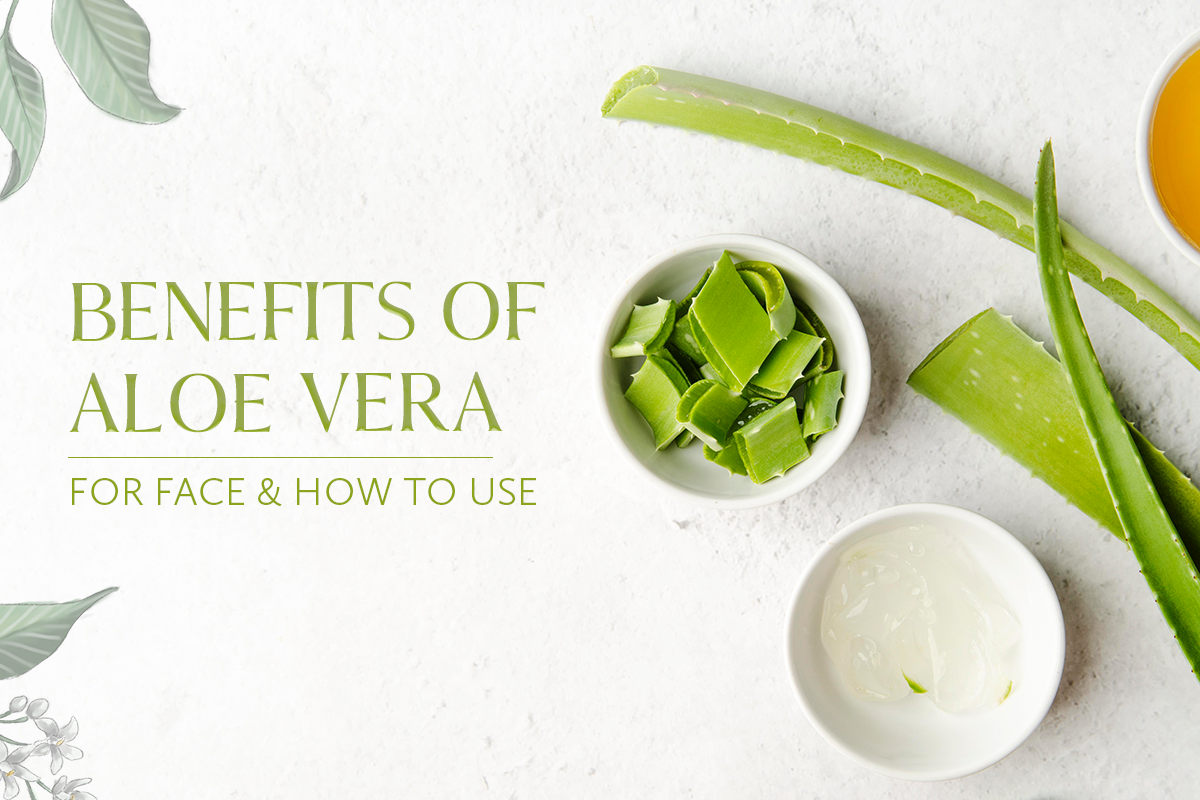 10 Incredible Benefits of Aloe Vera for Face & Usage Tips