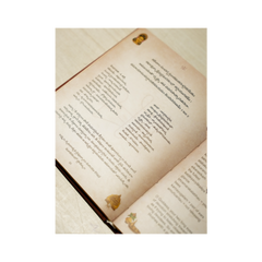 Soundarya Lahari - Book