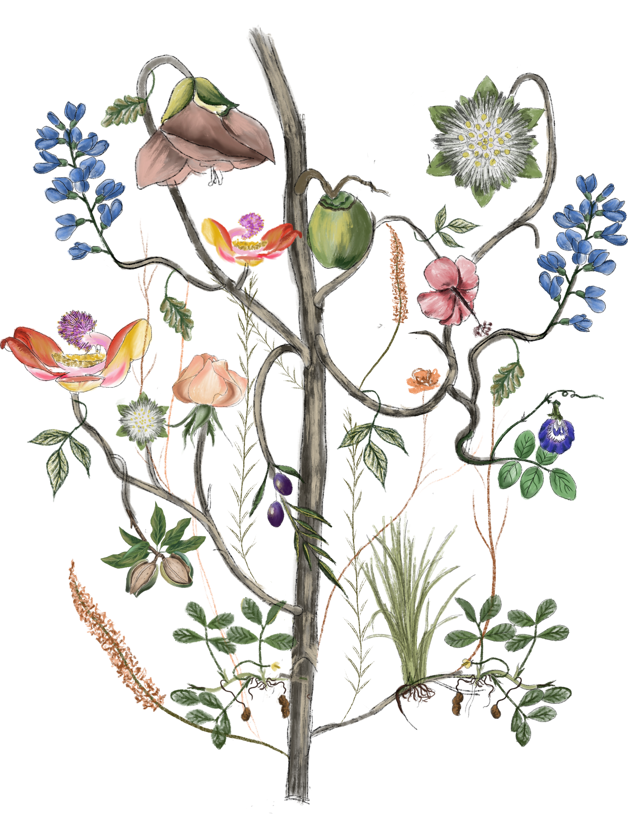 //oldschoolrituals.in/cdn/shop/files/Kalpavriksham_3.png?v=1712298968