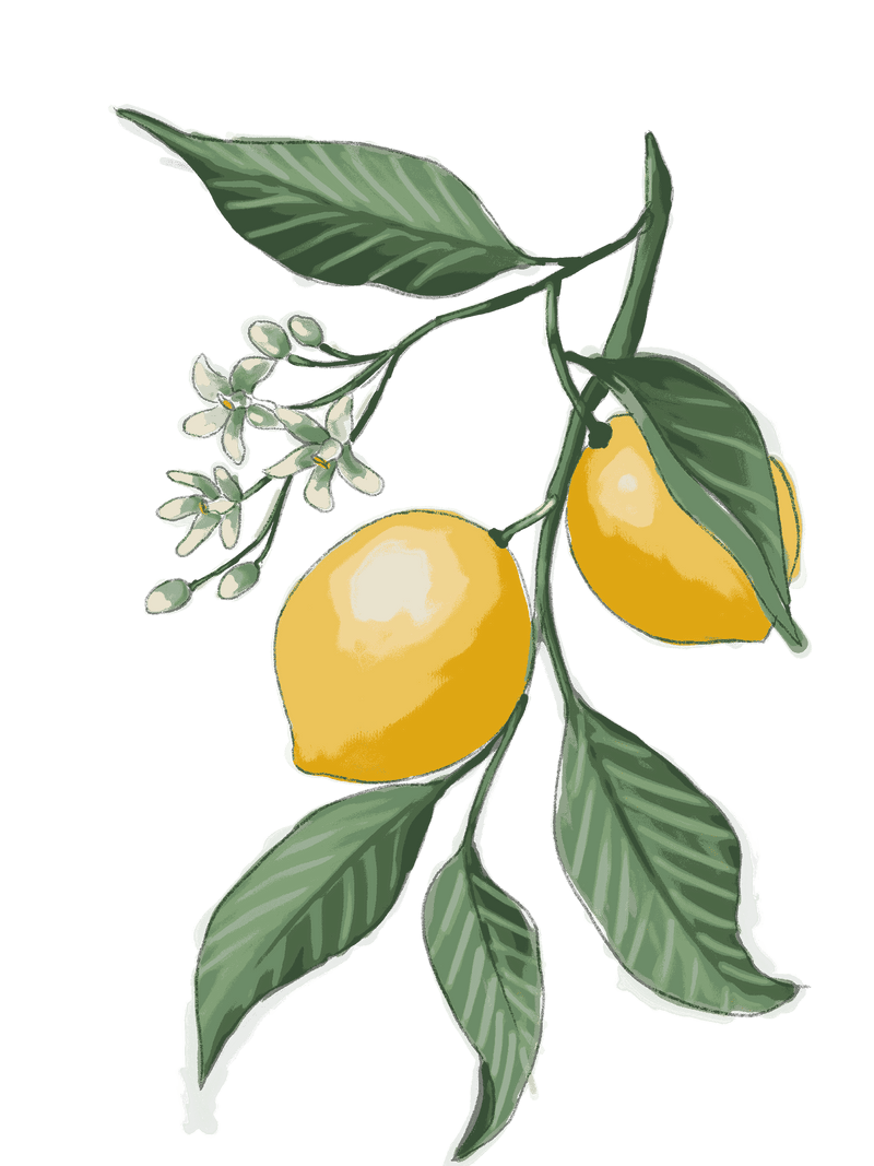 Arrack of Ice Apple & Fruits De-Tan Scrubbing Mask