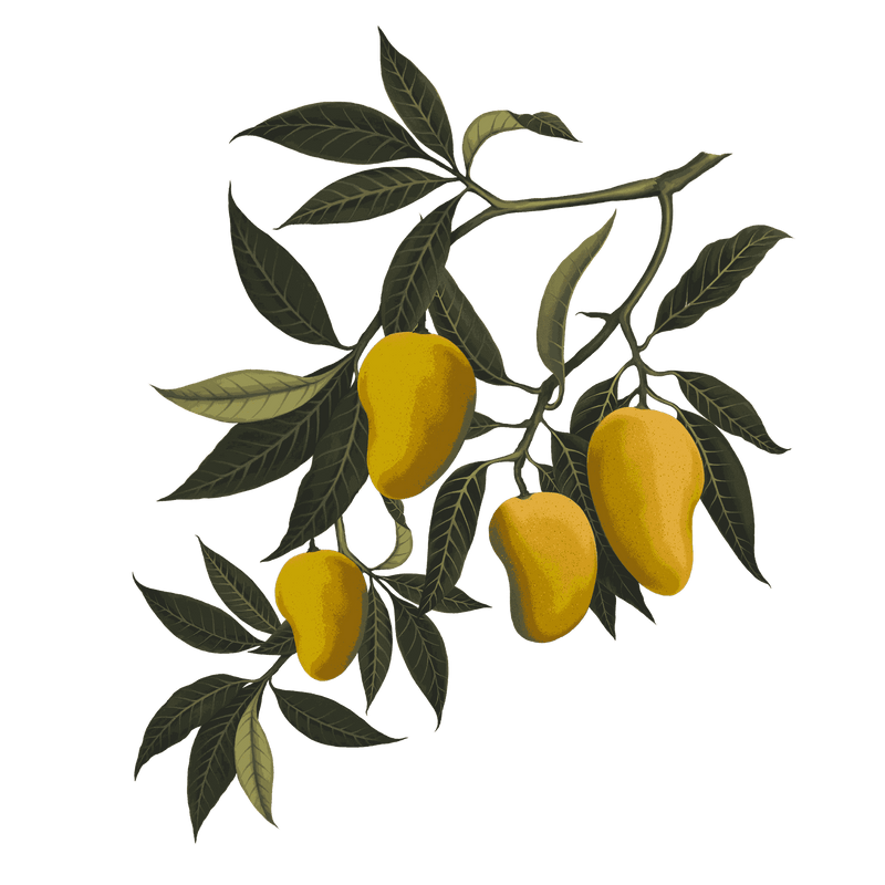 Arrack of Mango & Lemon Sugar Exfoliating Jelly
