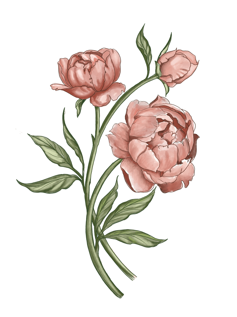 Handpicked Roses & Vetiver Toner Mist